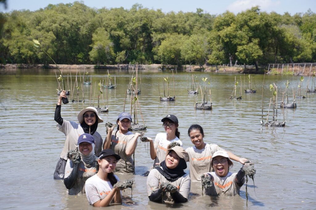Pemkot Surabaya dan WVI Tanam 1.000 Bibit Mangrove